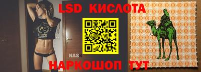СК Бузулук